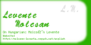 levente molcsan business card